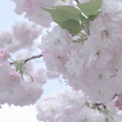 隆尧福瑞交流群